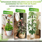 Sisher 6 Pcs Monstera Moss Pole,Plastic Moss Poles for Climbing Plants