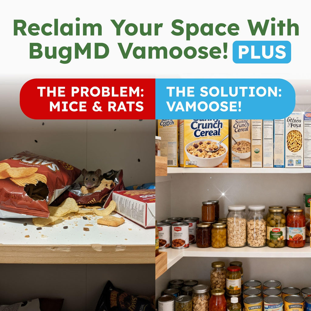 BugMD Vamoose! Plus Peppermint Oil Mouse Repellent Pouches | Natural Mice Repellent Indoor & Rat Deterrent for House, Garage, RV, Car & Storage | Plant-Powered Rodent Control - 2 Pack - 8 Pouches