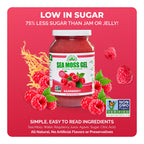 EverSmith Organics - Wildcrafted Irish Sea Moss Gel | Made in USA | Rich in Nutrients | Sea Moss Gel Raw | Jarred Vegetables & Fruits | Raspberry (1 Jar)