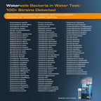 Watersafe® Bacteria Water Test Kit – USA-Made – Results as Fast as 6 Hours – Detects Coliform (Inc. E. coli) & Non-Coliform Bacteria in Drinking, Well & Tap Water – Lab-Quality Testing – 2 Pack