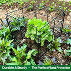 3 Pack Plant Protectors from Animals, 12Pcs 1" Mesh DIY Plant Cages 13.8"x13.8"x12", Metal Garden Animal Barrier with Stakes, Keep Rabbits & Chipmunks Out for Vegetables, Shrubs & New Plants
