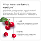 Premium Kidney Cleanse Supplement – Powerful Kidney Support Formula With Cranberry and Astragalus- Helps Support Healthy Kidneys & Urinary Tract Support - Kidney Cleanse Detox & Repair – 60 Capsules