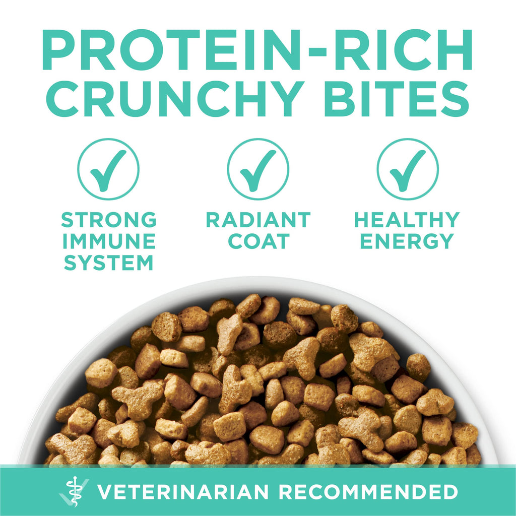 Purina ONE Sensitive Skin and Stomach Dry Cat Food 16 lb Bag