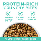 Purina ONE Sensitive Skin and Stomach Dry Cat Food 16 lb Bag
