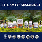 Host Defense Mushrooms Lion's Mane - Supplement Capsules for Brain Health Support - Mushroom Support for Focus & Memory Function - Immune & Nervous System Supplement - 120 Capsules