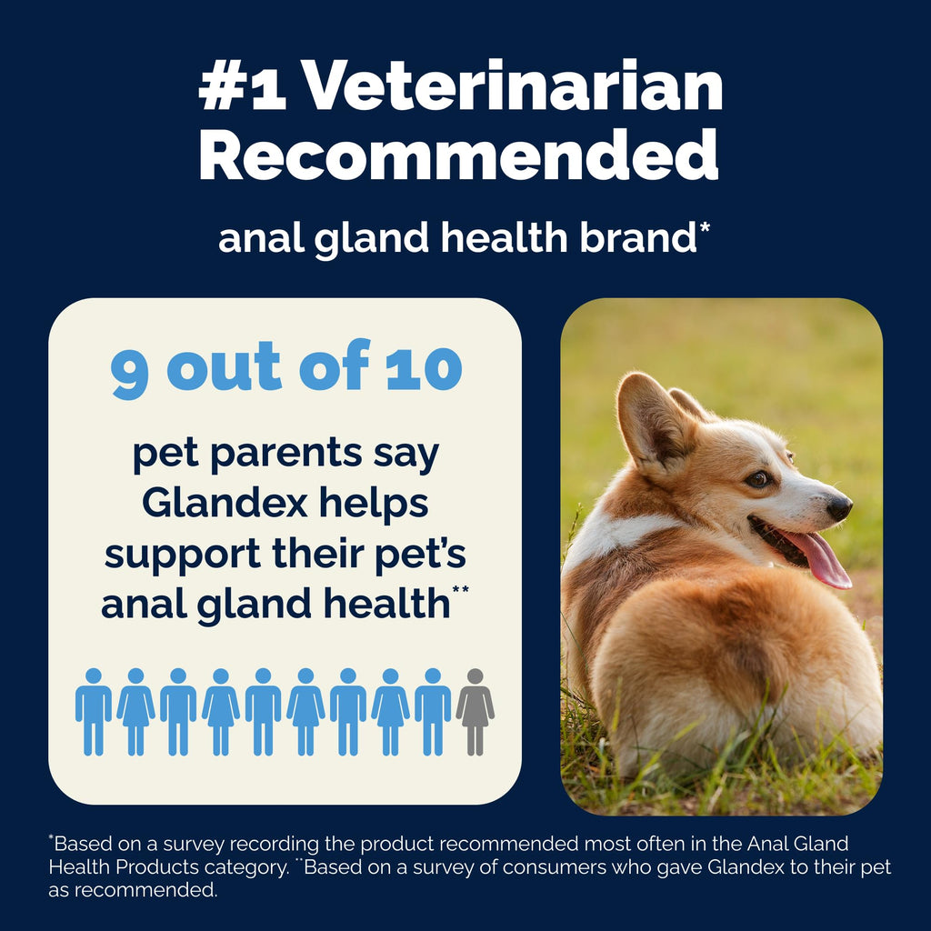 Vetnique Glandex for Dogs Anal Glands Supplement Powder Digestive Health with Fiber, Pumpkin, Digestive Enzymes & Dog Probiotics - Boot the Scoot (2.5oz Powder, Beef Liver)