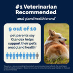 Vetnique Glandex for Dogs Anal Glands Supplement Powder Digestive Health with Fiber, Pumpkin, Digestive Enzymes & Dog Probiotics - Boot the Scoot (2.5oz Powder, Beef Liver)