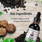 Christopher's Original Formulas Black Walnut Extract, Herbal Liquid Supplement, 2 oz - Pack of 2