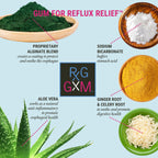 REFLUX GOURMET Berry Soothe Gum Alginate Therapy Sodium Bicarbonate Gum for Acid Reflux, Oral, Cognitive, and Digestive Support, Natural with Ginger, Celeriac and Aloe, Sugar Free, Gluten Free, Vegan