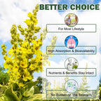 Mullein Gummies for Lungs, Mullein Extract for Smokers - Support Lung & Respiratory Health, Soothes Throat Irritation, Boost Immune - Mullein Leaf Extract for Lungs, Breathe Easier (2 Pack)