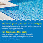 In The Swim Super Algaecide for Above Ground or Inground Swimming Pools – Low Odor, Non-Foaming Preventative for Yellow/Mustard Algae in Swimming Pools - 7.1% Chelated Copper – 1 Quart