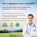 Nokuba Himalayan Tartary Buckwheat Supplement with Quercetin, Zinc, Rutin, Vitamin C, D, Curcumin for Immune Support & Antioxidant & Gut Health - 240 Vegan Capsules