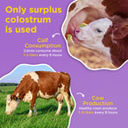 Lifeable Bovine Colostrum Powder, 2000mg, 30% IgG, Unflavored, 30 Servings
