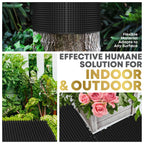 Petfolio 12 Pack Black Cat Spike Mat - 16" x 13" Scat Mat for Cats with 1" Spike is A Perfect Cat Scat Mat for Indoor & Outdoor Cat Repellent to Deter Feral Cats & Dogs