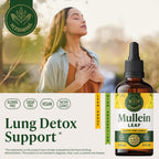 HERBAMAMA Mullein Drops for Lungs - Vegan Lung Cleanse with Mullein Leaf Extract, Echinacea Tincture & Licorice - Non-GMO, Alcohol & Sugar-Free Respiratory Support Supplement - 56-Day Supply