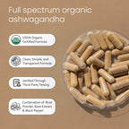 NaturaLife Labs Organic Ashwagandha 2100 mg per Serving – Herbal Supplement Root Powder & Extract – 100 Capsules – Vegan, Non-GMO, Gluten-Free (2 Pack)