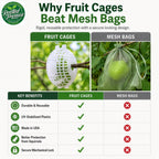 Rooted Promise Fruit Protection Cages for Peaches and More | 2026 Improved Secure-Lock Design | Small 4x5 Inch | 12 Pack | Squirrel Resistant | Reusable Heavy-Duty Plastic | Made in USA