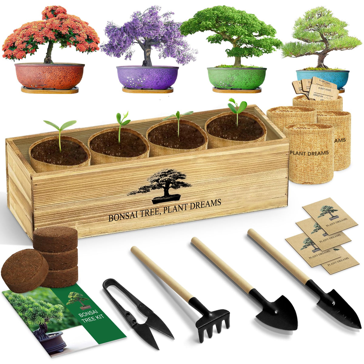 LUOJIBIE Bonsai Tree Kit, Complete Bonsai Starter Growing Kit, Christmas Birthday Gifts for Women Men Mom Dad Girls Boys, Gardening Gift for Plant Lovers, White Elephant Gifts for Adults