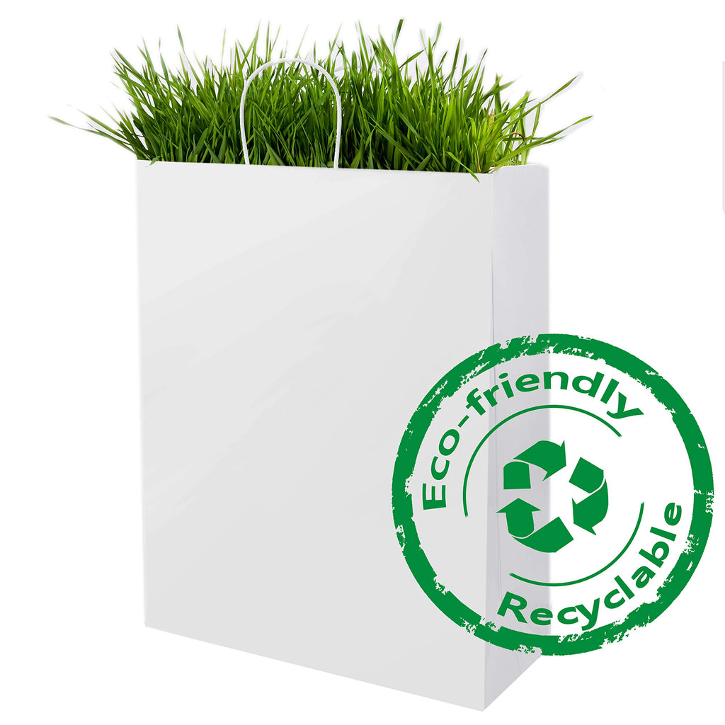 BagDream Large Paper Bags with Handles 13x7x17 Inch White 50 Pack Bulk