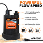 Chromex Tankless Water Heater Flush Kit with NSF Certified Liquid Descaling Solution and 1/6HP Extra Strength Pump