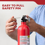 Kidde FA110G Multi Purpose Fire Extinguisher, Wall Mount, for Home/Office/Dorm/Residential, 1A10BC