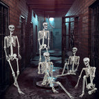 5.9ft Halloween Life Size Skeleton Realistic Full Body Skeletons Plastic Human Bones with Movable Joints for Halloween Props Spooky Party Decoration