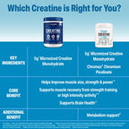 Orgain Micronized Creatine Monohydrate Lean Muscle Powder with Metabolism Blend, Unflavored, 50 Servings, Supports Muscle Strength and Brain Health, No Dairy or Soy, Gluten Free, Vegan