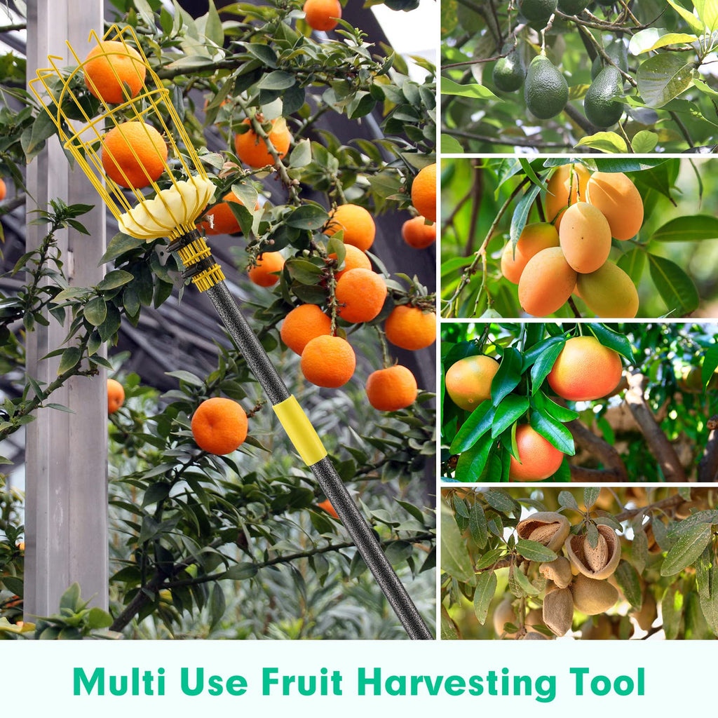 Lilyvane Fruit Picker, 66 Inch Long Heavy Duty Fruit Picker Tool with Fruit Basket, Adjustable Splicing Extension Fruit Picker Pole Fruit Picking Grabber