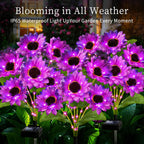 ANGMLN Solar Garden Lights 6 Pack 36 Solar Sunflower Lights, Waterproof Solar Purple Flower Light for Outdoor Decoration, Decorative Stakes for Yard,Landscape,Patio,Gifts for Women