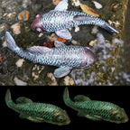 Tooyuart Garden Sculptures & Statues,Koi Fish Decor,Garden Fish Art,Set of 2 Antique Koi Fish Yard Art Decor for Outdoors,Patio,Yard,Lawn,Pond,Home Decoration (Bronz)