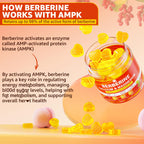 LILICARE Berberine Gummies Sugar Free, Extra Absorption with Liposomal Berberine & Berberine HCI, Calcium, Magnesium, AMPK Activitor for Sugar & Level, Energy, Metabolism,Vegan, Pack of 1