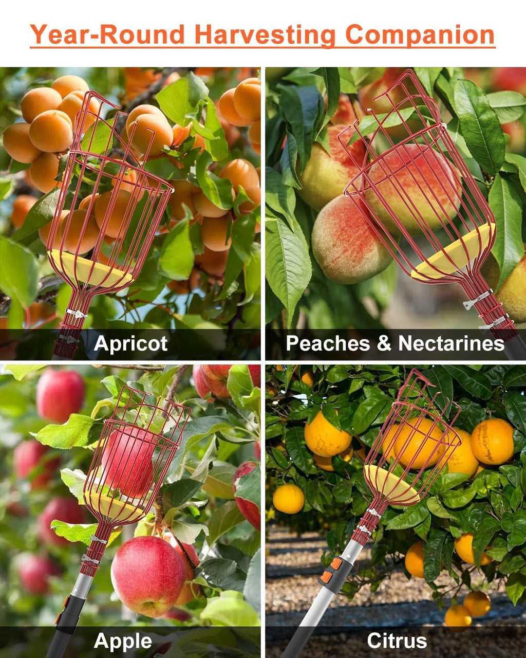 AgiiMan 28 Reach Fruit Picker with Telescopic Extension Pole, 5 to 20 FT Fruit Picker Pole Lightweight and Sturdy Aluminum Telescopic Pole, Easy to Assemble Fruit Picking Basket