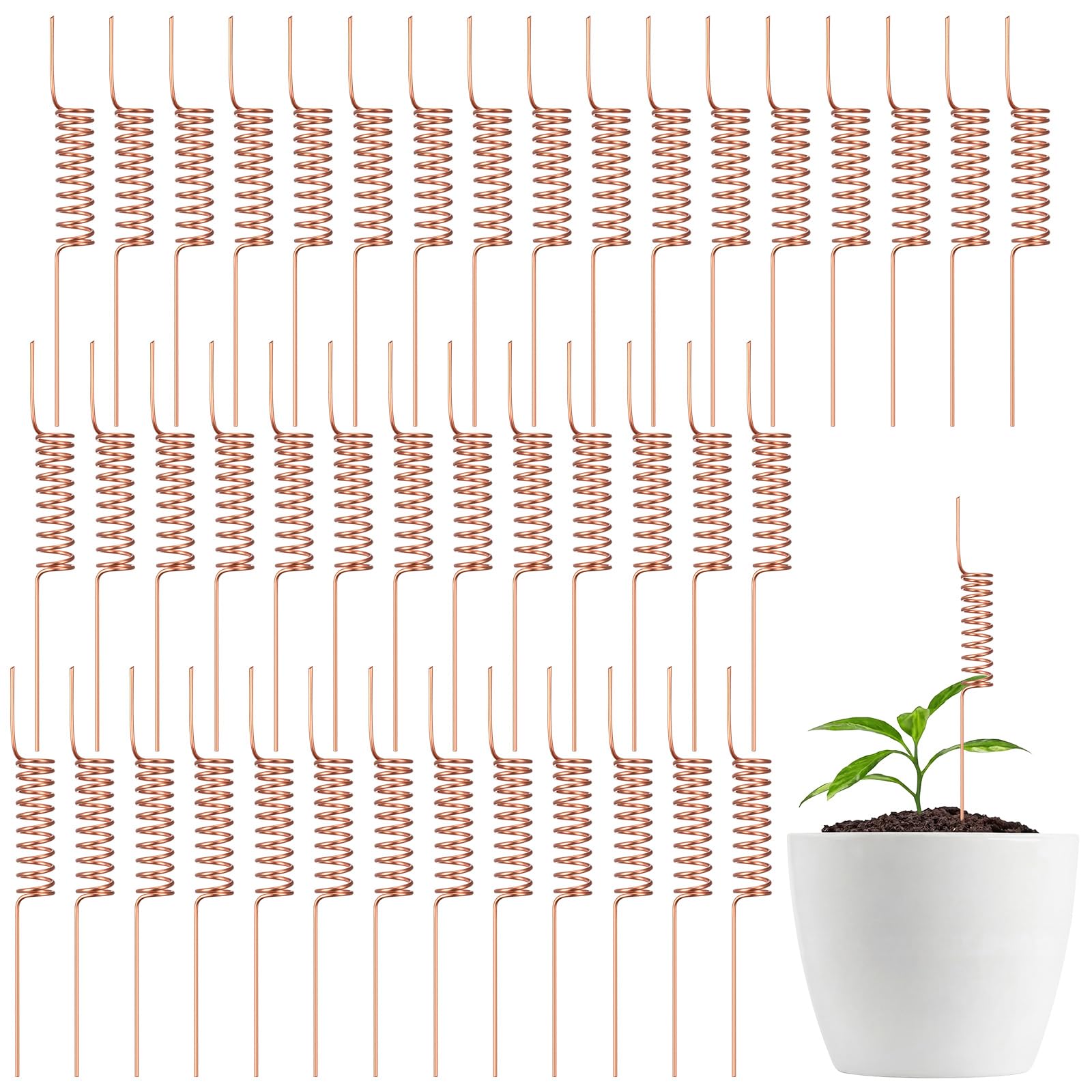 Acellegic 20 Pcs Electroculture Plant Stakes Copper Rods,Classic,6 Inch