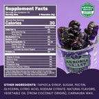 Akronia Valley Aronia Berry Gummies | 45 Vegetarian Gummies | Pack of 1 | Immune Support, for Health and Wellness, Delicious Aronia Flavor