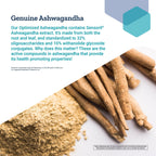Life Extension Optimized Ashwagandha, 150 Veg Caps (Pack of 2) - Non-GMO, Gluten Free, Vegetarian Capsules