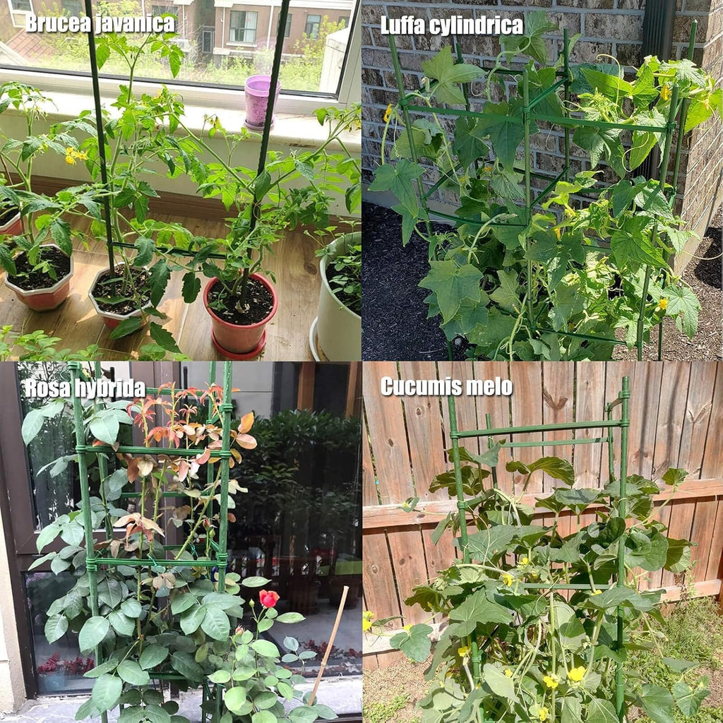 Orgrimmar 4 Pack Tomato Trellis & Cages, Plant Support Stakes for Outdoor Vertical Garden, Climbing Plants, Vegetables, Tomatoes, Cucumbers