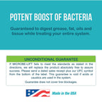 Microbe-Lift Septic Tank Treatment, Flush 'N Go Shock Treatment, 32 Ounces