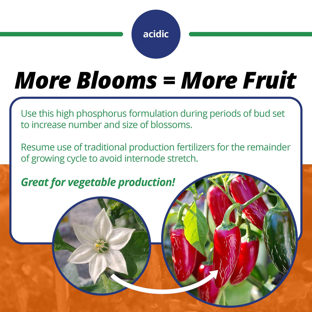 Jack's Classic 10-30-20 Blossom Booster Water-Soluble Fertilizer with Micronutrients for Increasing Color and Quantity of Blooms in Flowering Plants, 10lbs