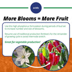 Jack's Classic 10-30-20 Blossom Booster Water-Soluble Fertilizer with Micronutrients for Increasing Color and Quantity of Blooms in Flowering Plants, 10lbs