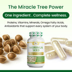 Organic Veda Moringa Seeds Capsules - Omega 3, 6, 9, Powerful Antioxidants, Vitamins, Amino Protein Rich Organic Moringa Seeds for Eating - Moringa Seed Powder Energy & Vitality, 120 Vegan Capsule
