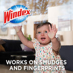 Windex Wipes Glass Cleaning, Pre-Moistened Glass and Surface Wipes to Clean Home Surfaces, Household Essentials, Original Scent, 38 Count (Pack of 12)