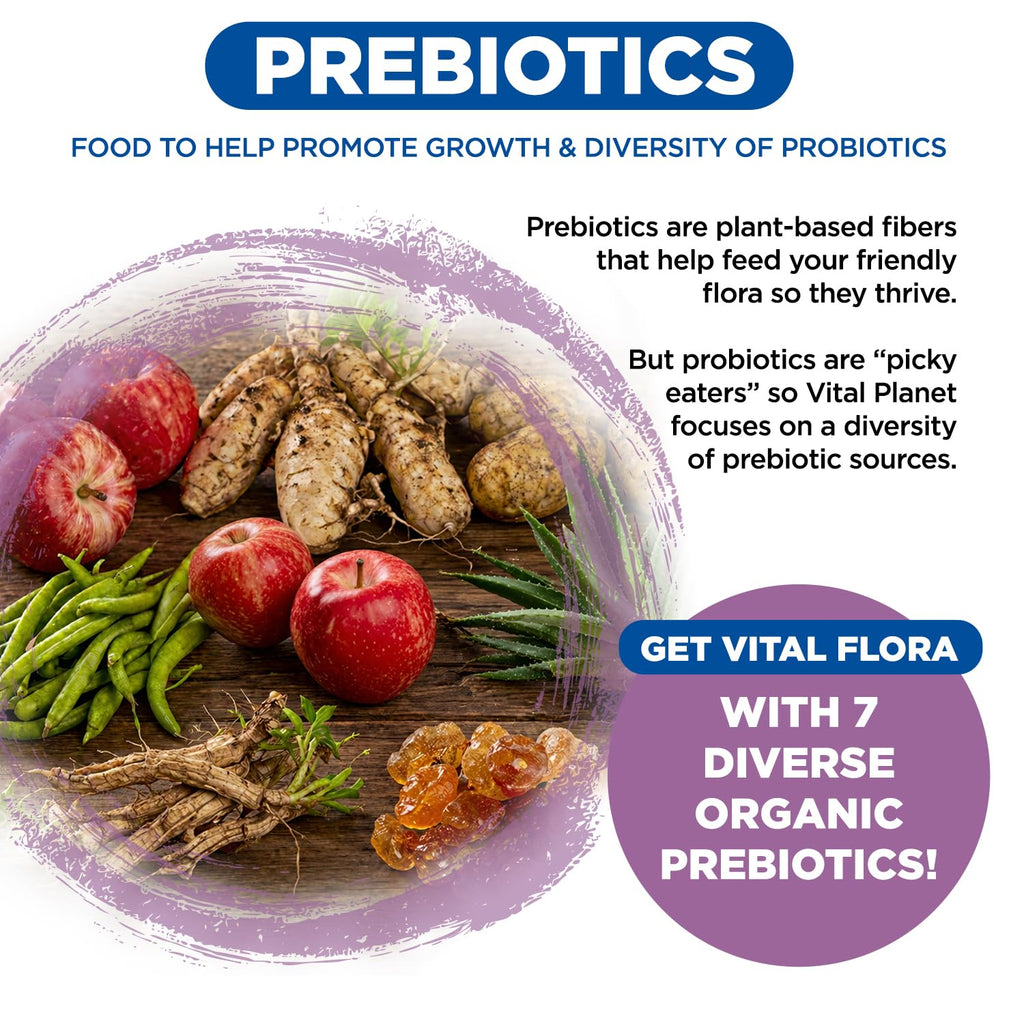 Vital Planet - Vital Flora Women’s Daily Probiotic 60 Billion CFU, 60 Diverse Strains, 7 Organic Prebiotics, Vaginal and Immune Support, Bloating, Digestive Health Probiotics for Women 60 Capsules