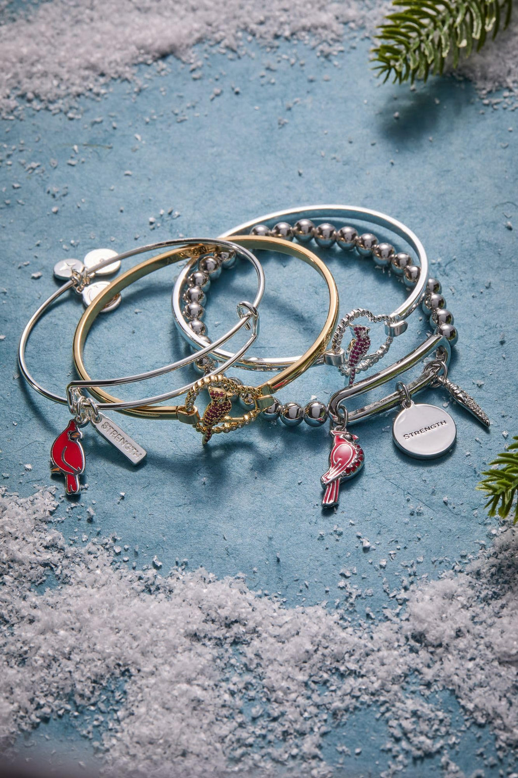 ALEX AND ANI 'Strength' Cardinal Duo Charm Bangle Bracelet - Red Cardinal Charm, Inspirational 'Strength' Accent, Nickel-Free, Cardinal Jewelry for Women (Shiny Silver)
