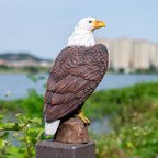 SHAODIE H:15.7in Outdoor Great Eagle Sculpture Garden Decoration Hand-Painted Bald Eagle Decoration - Bald Eagle Statue, Majestic American Indoor/Outdoor American Office, Courtyard Decoration