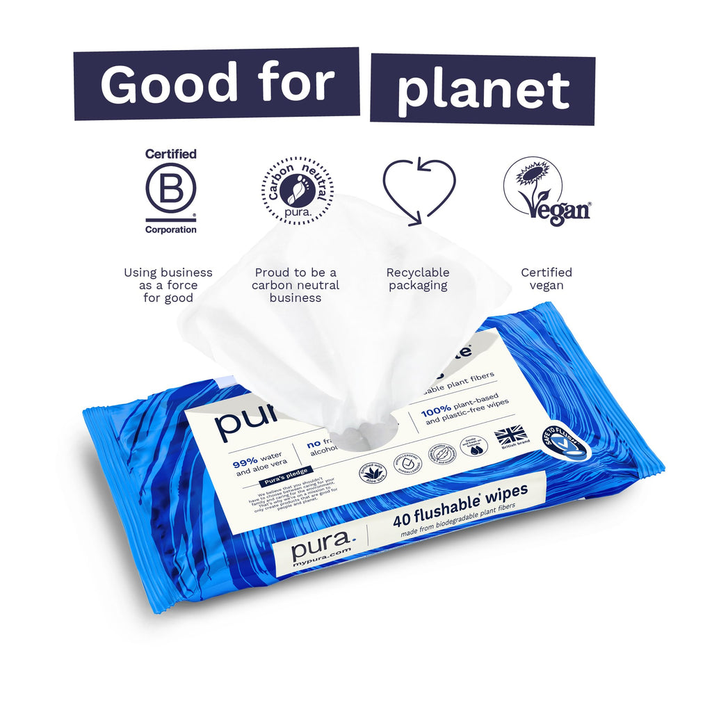 Pura XL Flushable Adult Wipes Unscented, Extra Large Family Wet Wipes with Aloe Vera & 99% Water, Sensitive Skin, 12 Pack of 40 (480 Wipes), Personal Hygiene Toilet