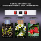 KingLED KP2000 Grow Light for Indoor Plants, Full Spectrum Plant Grow Light