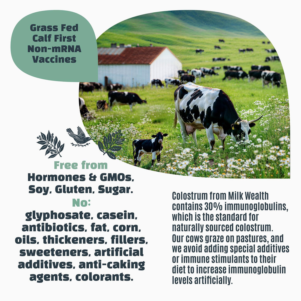 Milk Wealth™ Bovine Colostrum Powder 50g | Freeze-Dried & Natural IgG | Immune & Gut Health Support | Grass-Fed & Unflavored | Non-GMO & Gluten-Free | 25 Single-Serve Packets (2g Each)
