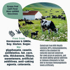 Milk Wealth™ Bovine Colostrum Powder 50g | Freeze-Dried & Natural IgG | Immune & Gut Health Support | Grass-Fed & Unflavored | Non-GMO & Gluten-Free | 25 Single-Serve Packets (2g Each)