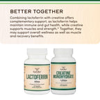 Lactoferrin 250mg per Serving (60 Capsules) Patented Bioferrin Lactoferrin - Superior Iron Supplement for Iron Deficiency and Immune Support by Double Wood Supplements