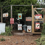 8 Pack Chicken Coop Accessories, Funny Chicken Coop Metal Signs Outdoor Decor Chickens Farm Personalized Tin Sign Chicken Gifts For Lovers House Decor 8×12 Inch